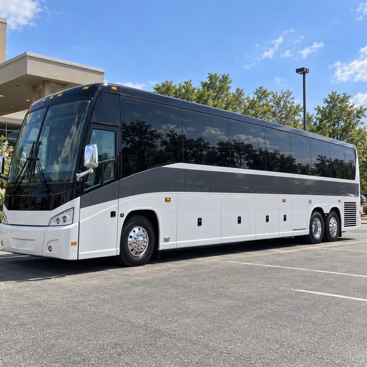 56 passenger charter bus